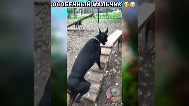 Особенный мальчик (3).mp4 смотреть онлайн
