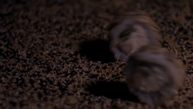 Реклама для Суши-бара «Япончик» смотреть онлайн