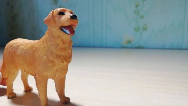 Новостяшки)