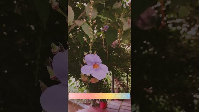 epiphany - taylor swift | cover | 11/11/2023 | @TaylorSwift смотреть онлайн