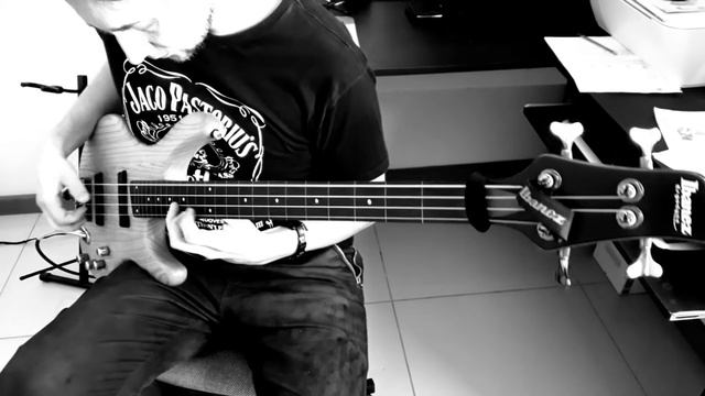Ibanez Ergodyne Fretless смотреть онлайн