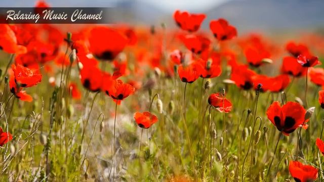 Музыка для Утреннего Пробуждения и Поднятия Настроения: Хорошая Музыка для Души и Бодрости Духа