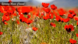 Музыка для Утреннего Пробуждения и Поднятия Настроения: Хорошая Музыка для Души и Бодрости Духа