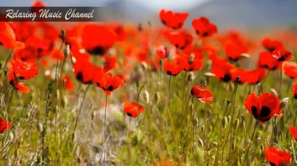 Музыка для Утреннего Пробуждения и Поднятия Настроения: Хорошая Музыка для Души и Бодрости Духа