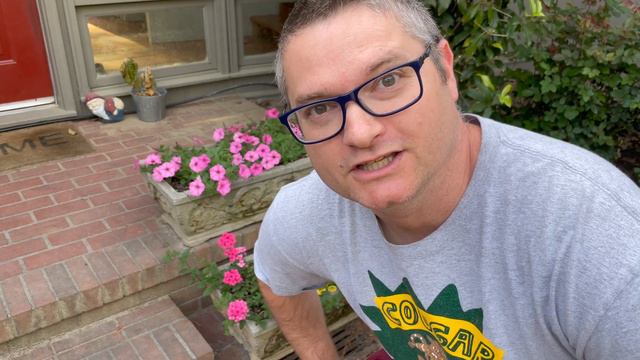 Replacing Worn Out Shrubs W/Proven Winners Supertunia Vista Bubblegum As A Border!