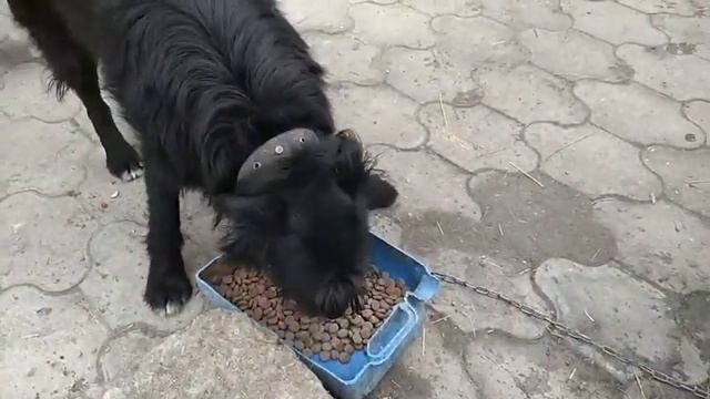24 декабря 2019 г. смотреть онлайн