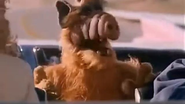 Проект Альф (Мухи и ветровое стекло) смотреть онлайн