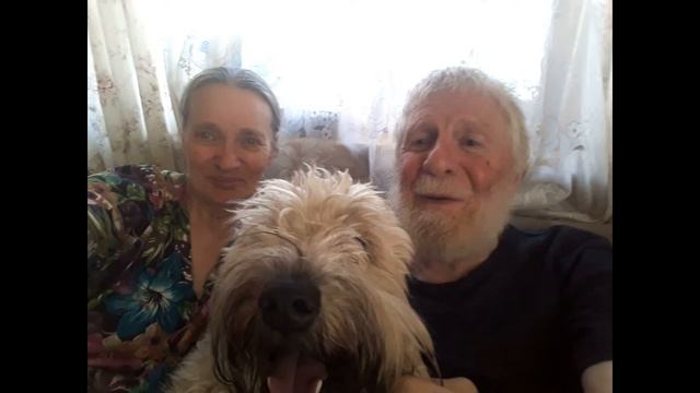 Вальс смотреть онлайн