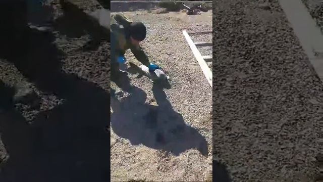 Поймали морского кота! Вот это уловище! смотреть онлайн