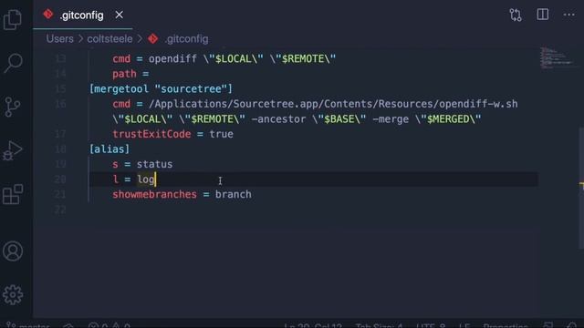 The Git & Github Bootcamp | P20: Writing Custom Git Aliases смотреть онлайн