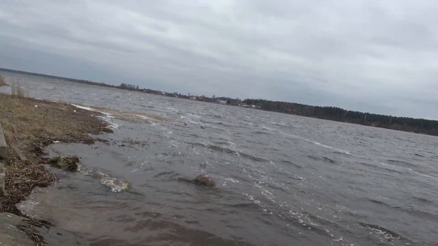 05.04.2021- SONY FDR-AX53 - переключение на ночное видение. тест на ветру. смотреть онлайн