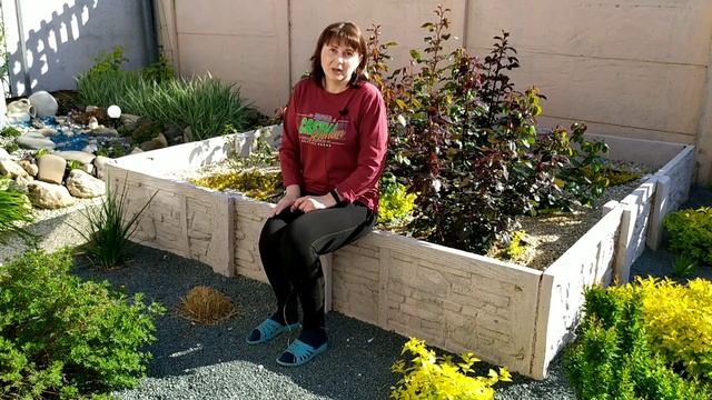 ПРОЩАЮСЬ С ДЕКОРАТИВНЫМИ ЗЛАКАМИ! С какими? Почему? смотреть онлайн