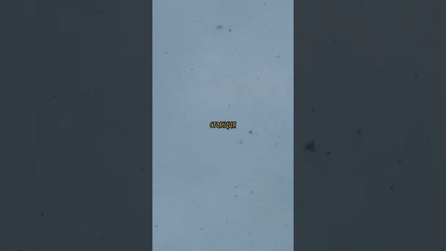 И ВОТ НАША СЛЕДУЮЩАЯ СТАНЦИЯ НОВЫЙ ГОД СПАСИБО ВСЕМ ТЕМ КТО ЕХАЛ СО МНОЙ ЭДИТ смотреть онлайн