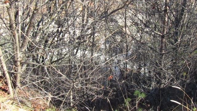 MVI_9218 смотреть онлайн