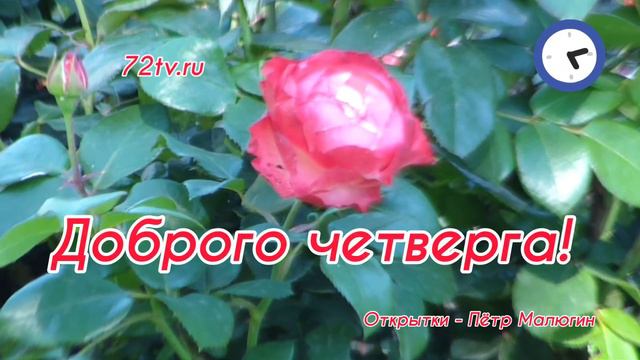 Доброго четверга!