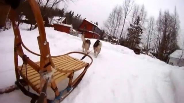 Нарты Real Trapper и Real Trapper Sport смотреть онлайн