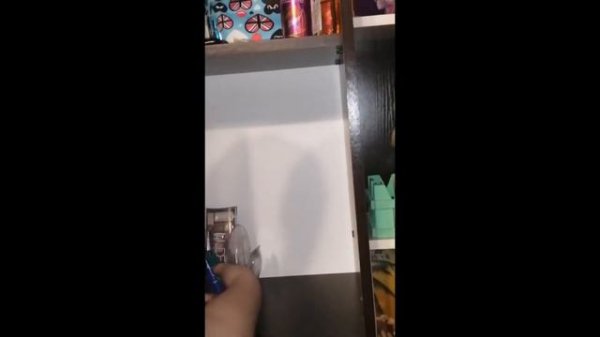 НЕДЕЛЯ ВЛОГОВ / ВОСКРЕСЕНЬЕ // ALINA RU