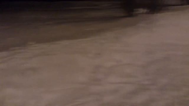 Чехословацкий влчак Малаховский волкодав Фемида 4 мес. смотреть онлайн
