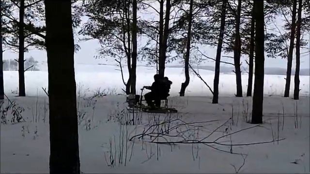 Снегоход поездка к лесу Роман и Дима..wmv