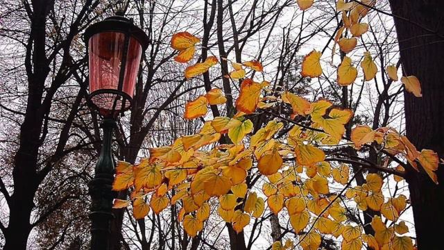 G. F. MALIPIERO - Preludio autunnale n. 2 - Piano Giovanni Carmassi смотреть онлайн