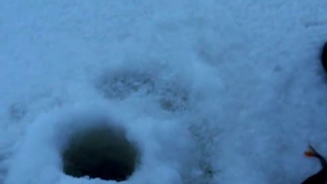 Чудское. Ловля окуня. смотреть онлайн