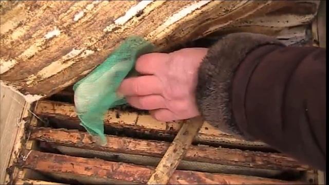 ПОДКОРМКА ПЧЁЛ КАНДИ смотреть онлайн