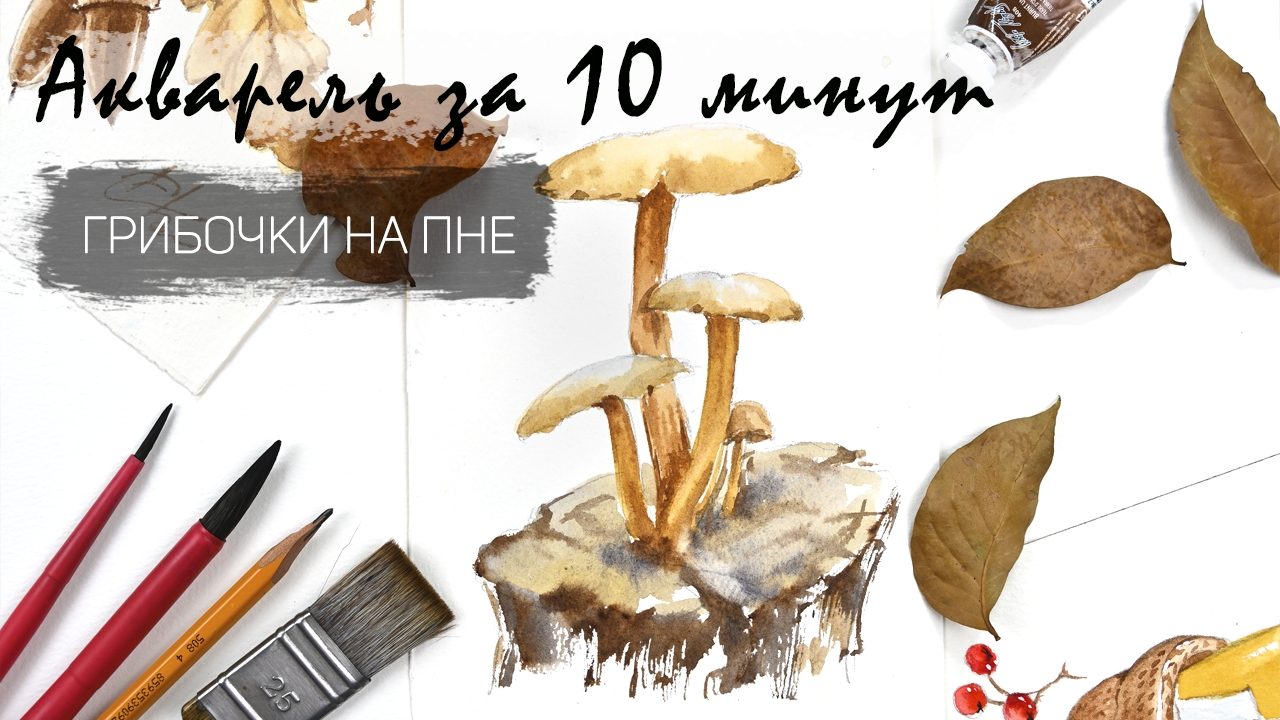 Рисуем грибы на пне кварелью за 10 минут. Быстрые зарисовки. Акварель для новичков смотреть онлайн