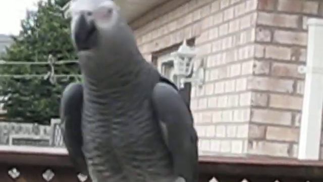 coco outside 1 смотреть онлайн