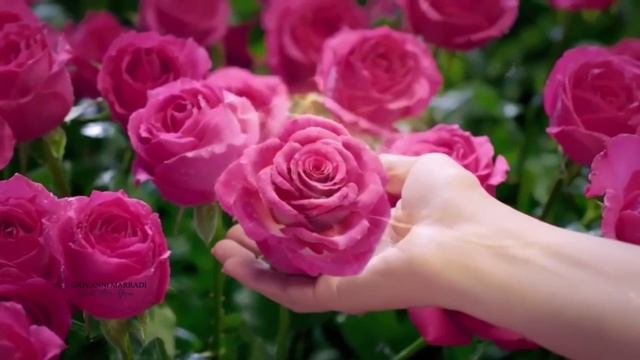 March 8th Holiday - Giovanni Marradi смотреть онлайн