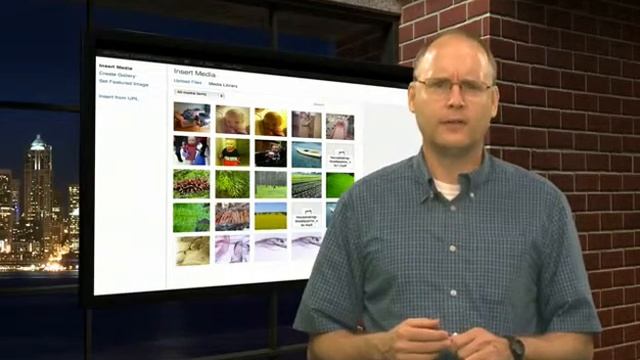 Wordpress Media Library смотреть онлайн