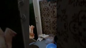 Кальмар с глистами или глисты в кальмаре