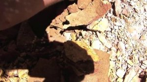 Поиск опалов - С любовью из Квинсленда в Сидней