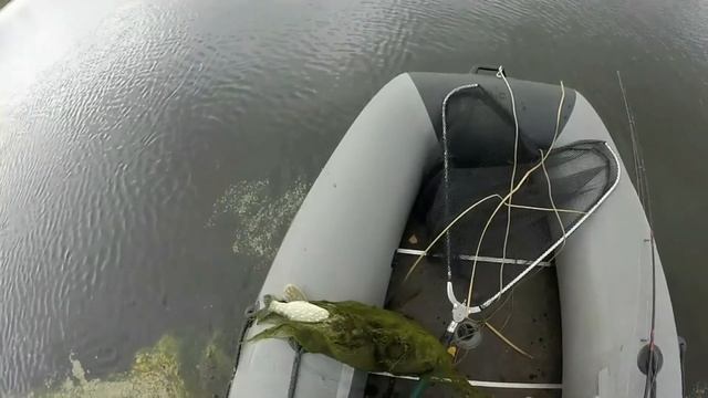 Ловля щуки в протоках Волги. смотреть онлайн