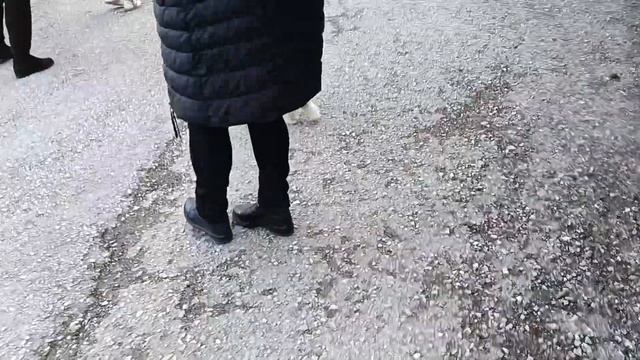 Как пройти и где находится МОЖЖЕВЕЛОВАЯ РОЩА в Новом Свете Крым смотреть онлайн