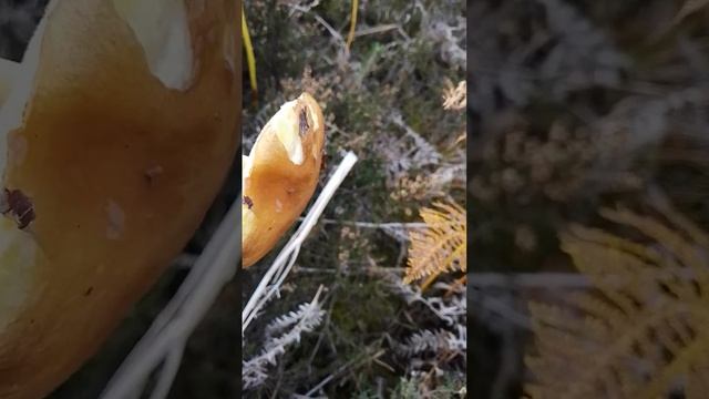 3 October 2022 смотреть онлайн