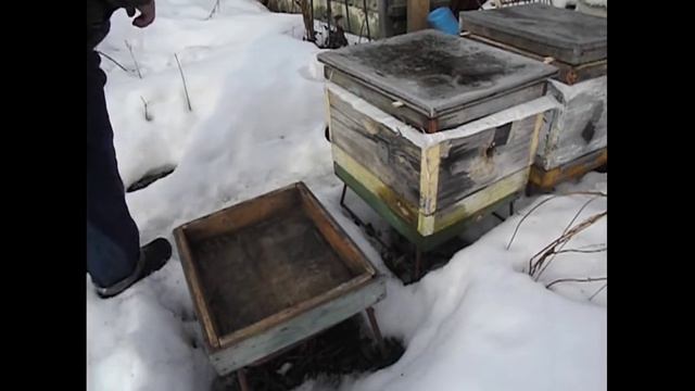 работы на пасеке в марте - когда лучше менять дно в улье, у перезимовавшей семьи пчел смотреть онлайн