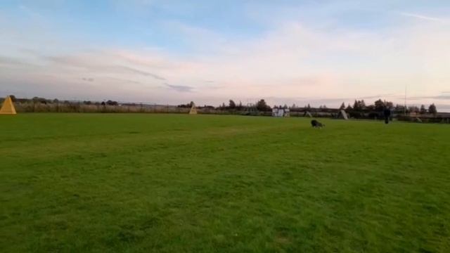 Зоркинхоф Житан работа