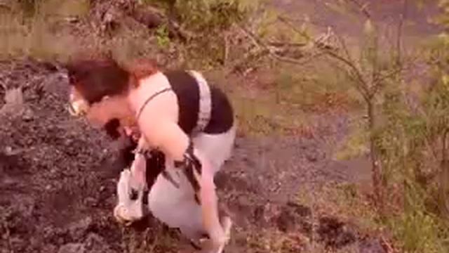 Battle Bots боевые роботы