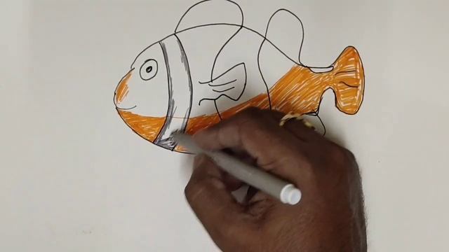 Fish Sketch Drawing & coloring смотреть онлайн