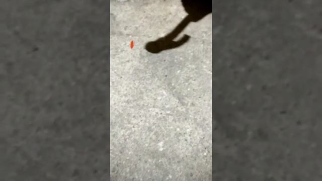 Ломаем вещи #2 смотреть онлайн