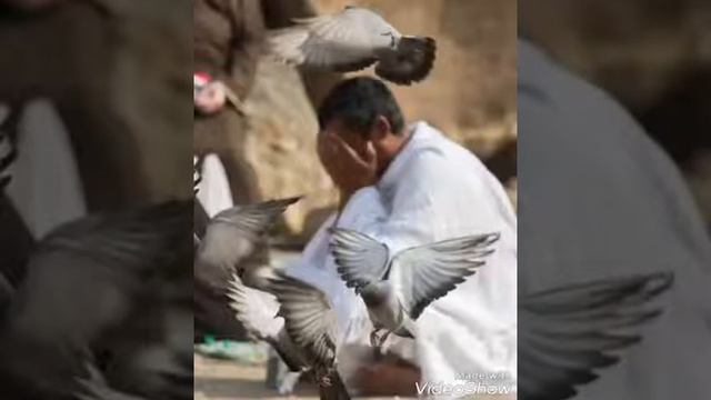 Мама и Папа живите вечно смотреть онлайн