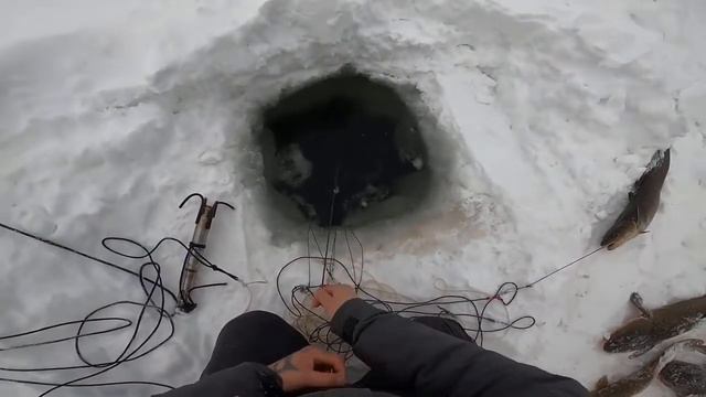 Как ловить огромного налима на стук смотреть онлайн