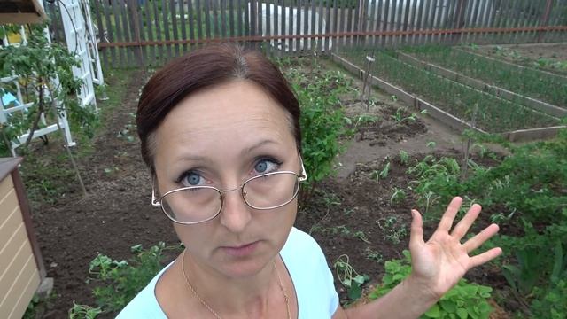 6 соток 29 мая 2021 год. Высаживаю высокорослые однолетники: цинии, бархатцы, василек, амарант... смотреть онлайн