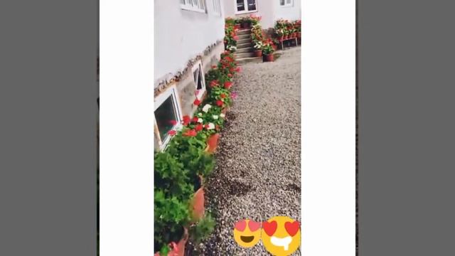 GERAN GULLAR I, ГЕРАН ГУЛЛАРИМ, СВЕТОК ГЕРАНИ смотреть онлайн