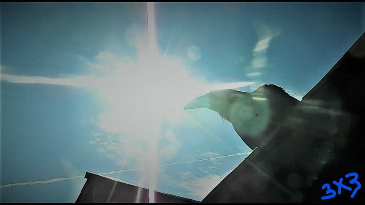 Третий день рожденья и магический прыжок Хугина. смотреть онлайн