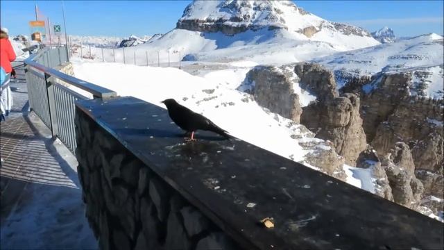 Горы птицы. Люди и горы. Люди как птицы. смотреть онлайн