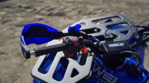 WELS THUNDER EVO 125