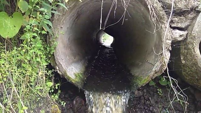 Ирбит! Природа! Занимательное и интересное ! Речка Грязнуха! Но здесь она ещё чистая! Дорога на смотреть онлайн