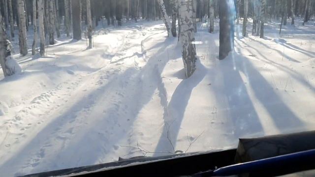 Тестируем мотор L15 . Аэролодка -вездеход зимой в лесу.