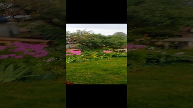 Дождь некстати